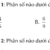 Đề Kiểm Tra Giữa Học Kì 2 Toán 6 – Năm Học 2025-2026- Chân Trời Sáng Tạo – Đề Số 4