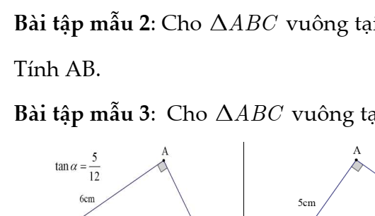 TOÁN 9- KNTT (BỘ THỐNG NHẤT)- Chương IV: HỆ THỨC LƯỢNG TRONG TAM GIÁC VUÔNG- Chủ đề 11: TỈ SỐ LƯỢNG GIÁC CỦA GÓC NHỌN
